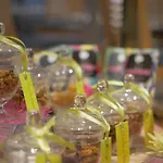 Voco Le Touquet By Ihg Hotell